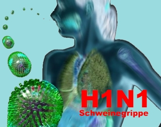 H1N1 Schweinegrippe auch im Norden